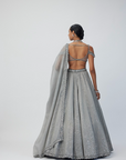 Crystal Grey Sequins Scattered Lehenga Set