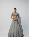 Crystal Grey Sequins Scattered Organza Lehenga Set