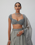 Crystal Grey Sequins Scattered Organza Lehenga Set