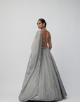 Crystal Grey Sequins Scattered Organza Lehenga Set