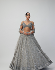 Crystal Grey Sequins Embroidered Lehenga Set