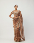 Copper Shimmer Organza Saree Set