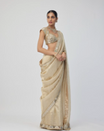 Golden Shimmer Organza Saree Set