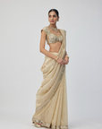 Golden Shimmer Organza Saree Set