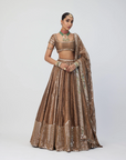 Copper Shimmer Organza Sequins Lehenga Set