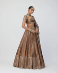 Copper Shimmer Organza Sequins Lehenga Set