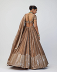 Copper Shimmer Organza Sequins Lehenga Set