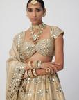 Golden Shimmer Organza Flower Lehenga Set