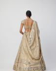 Golden Shimmer Organza Flower Lehenga Set