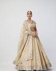 Golden Shimmer Organza Linear Lehenga Set