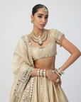 Golden Shimmer Organza Linear Lehenga Set