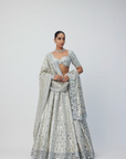 Silver Shimmer Organza Lehenga Set