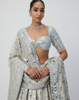 Silver Shimmer Organza Lehenga Set