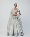 Silver Shimmer Organza Linear Lehenga Set