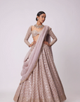 Ash Pink Mirror Flower Embroidered Lehenga Set