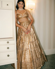 Antique Gold Lehenga Set