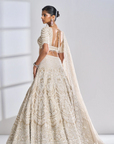 Nude Pearl Lehenga Set