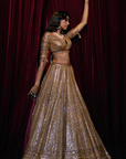 Deep Wine Sequin Lehenga Set