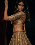 Deep Wine Sequin Lehenga Set