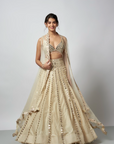 Shravani Lehenga Set