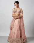 Daksha Lehenga Set