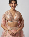 Daksha Lehenga Set