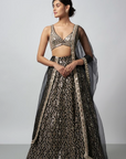 Ganishka Lehenga Set