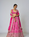 Krshnavi Lehenga Set