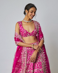 Krshnavi Lehenga Set