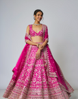 Krshnavi Lehenga Set