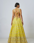 Tisya Lehenga Set