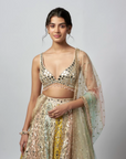 Ranjeeta Lehenga set