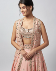 Ravya Lehenga Set