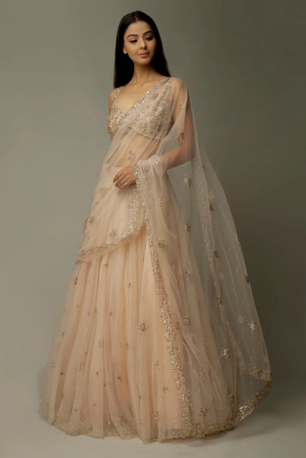 Hebe Lehenga Saree