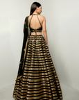 Zarin Lehenga Set