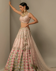 Blossom Beauty Lehenga Set