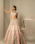 Blossom Beauty Lehenga Set