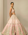 Blossom Beauty Lehenga Set