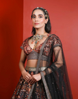 Printed Lehenga With Embroidery Detailing