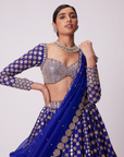 Persian Blue Flower Lehenga Set