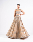 Beige Linear Drop Lehenga Set