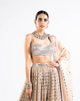 Beige Linear Drop Lehenga Set