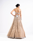 Beige Linear Drop Lehenga Set