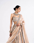 Beige Mirror Seam Lehenga With Mirror Blouse