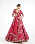 Mellow Wine Small Flower Linear Lehenga Set