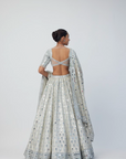 Silver Shimmer Organza Lehenga Set