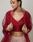 Ishka Embroidered Tissue Lehenga - Ready To Ship