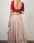 Ishka Embroidered Tissue Lehenga - Ready To Ship