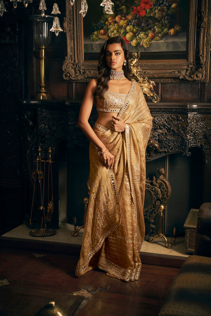 Gold Mirror work saree 1