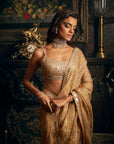 Gold Mirror work saree 2